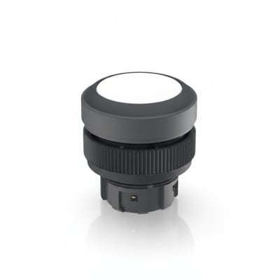 RAFI 1.30.240.221/1000