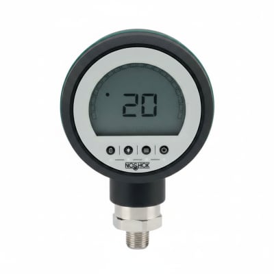 NOSHOK PGE20-300PSIG-1-2-DL-CC