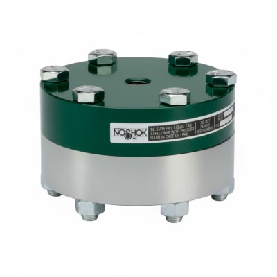 NOSHOK 10L-02S-V-V-02TC