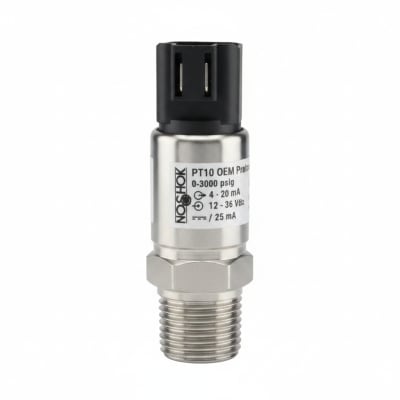 NOSHOK 10-02S-V-V-04S-1F-P