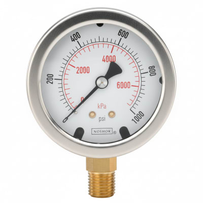 NOSHOK 25-300-200-PSI-CFF-MIP-BT8