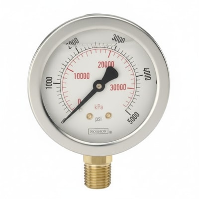 NOSHOK 25-210-3-PSI-CFF-BT3