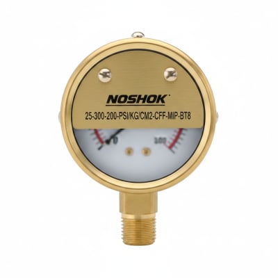 NOSHOK 25-300-200-PSI/KG/CM2-CFF-MIP-BT8