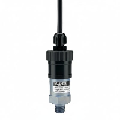 NOSHOK 25-300-200-PSI/KG/CM2-CFF-MIP-BT8-CC