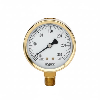 NOSHOK 25-300-200-PSI/KPA-BFF-BT8