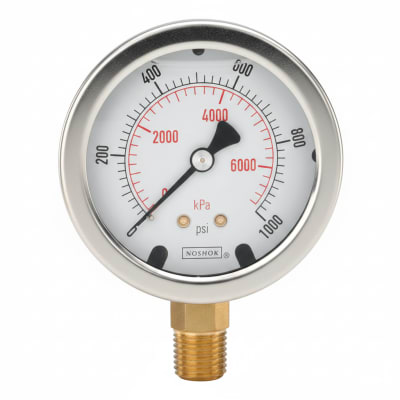 NOSHOK 25-300-200-PSI-BFF-MIP-BT8-CC