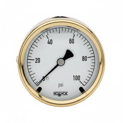 NOSHOK 25-310-1000-PSI-SST-MIP-CFF