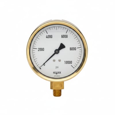 NOSHOK 25-310-1000-PSI-SST-CFF-BT8