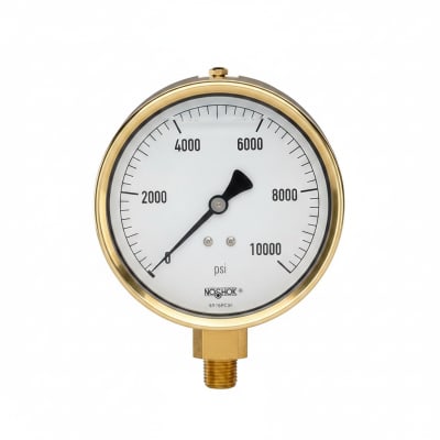 NOSHOK 25-300-200-PSI/KG/CM2-BFF-CC