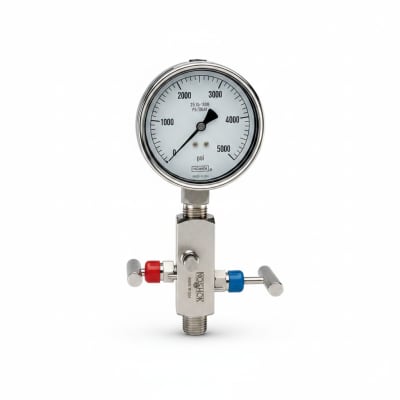 NOSHOK 25-310-1000-PSI/BAR-SST-BT8