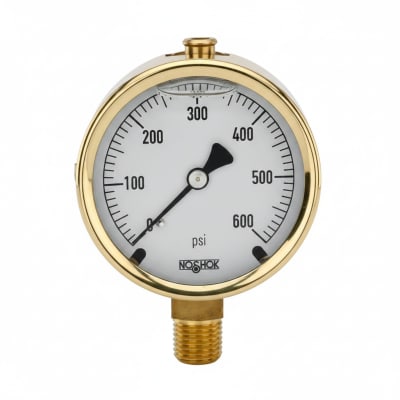 NOSHOK 25-300-7500-PSI-BFF-MIP-BT8
