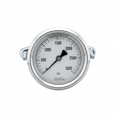 NOSHOK 25-310-1000-PSI-SST-MIP-BFF-CC