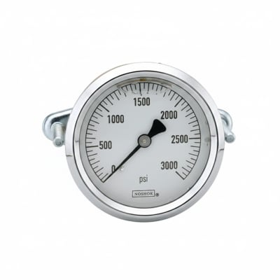 NOSHOK 25-310-1000-PSI-SST-BFF-CC