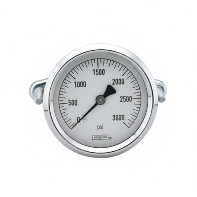 NOSHOK 25-310-1000-PSI-SST-MIP-CBU-BT8