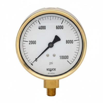 NOSHOK 25-300-200-PSI/KG/CM2-CFF-BT8