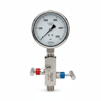 NOSHOK 25-310-1000-PSI/KG/CM2-SST-MIP-CBU-BT8