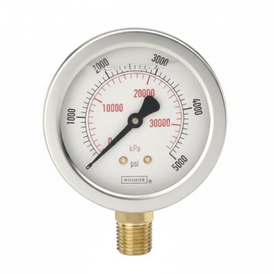 NOSHOK 25-310-1000-PSI/KG/CM2-SST-BFF-CC