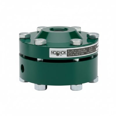 NOSHOK 30-02C-S-R-02C-1F