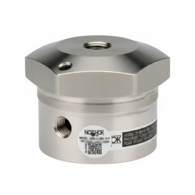 NOSHOK 29-02S-H-02H-1F-P