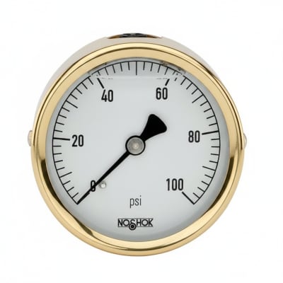 NOSHOK 25-310-1000-PSI/KG/CM2-SST-MIP-BFF-CC