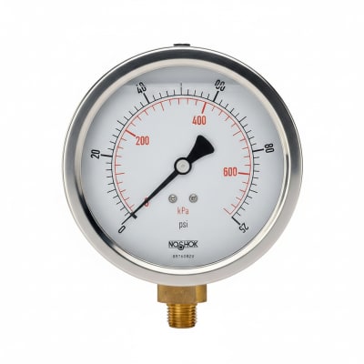NOSHOK 25-310-1000-PSI-SST-MIP-BFF-BT8-CC
