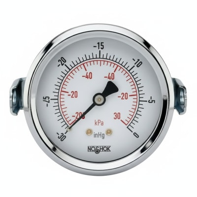 NOSHOK 30-02C-S-T-06C-2F-P