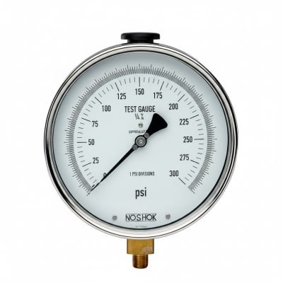 NOSHOK 30-02C-S-V-06C-1F-P