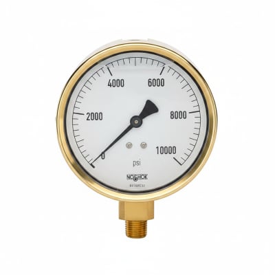 NOSHOK 25-300-200-PSI/KPA-CFF-CC