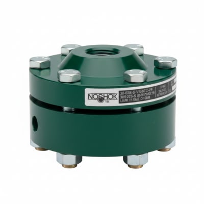 NOSHOK 30-02S-S-V-06C-2F