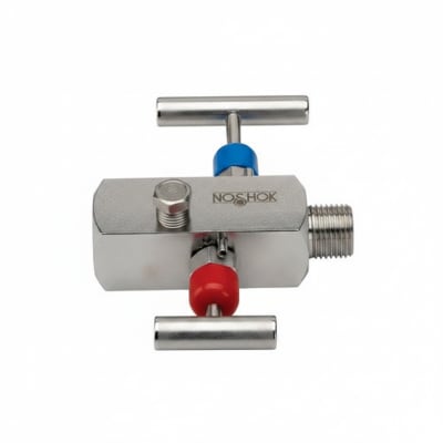 NOSHOK 30-04C-S-T-06C-2F-P