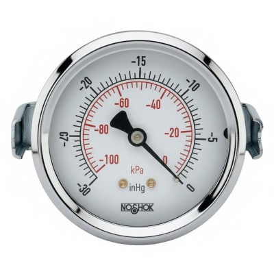 NOSHOK 30-02S-S-V-06C-2F-P