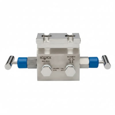 NOSHOK 30-04C-S-V-06C-2F-P