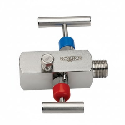 NOSHOK 30-04C-S-R-06C-2F-P