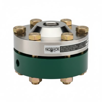 NOSHOK 30-04S-S-T-02C-2F-P