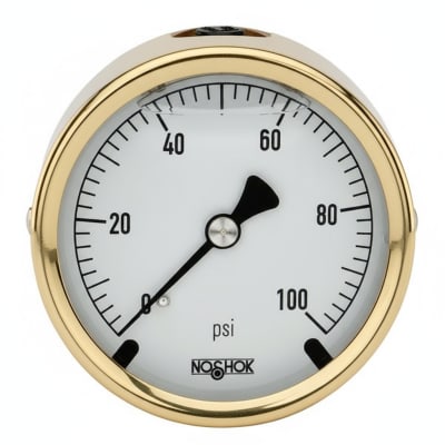 NOSHOK 30-02C-S-V-06S-1F-P