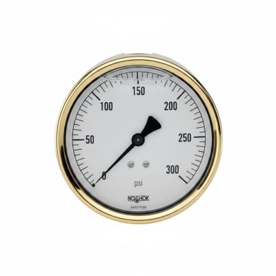 NOSHOK 40-310-30/15-PSI/BAR-BT8