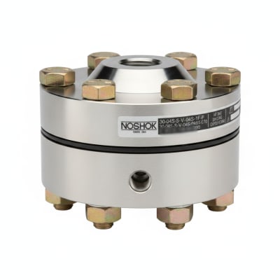 NOSHOK 30-04S-S-V-04S-1F-P