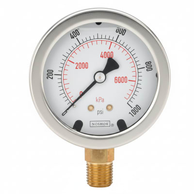 NOSHOK 25-300-200-PSI/BAR-CFF-MIP-CC