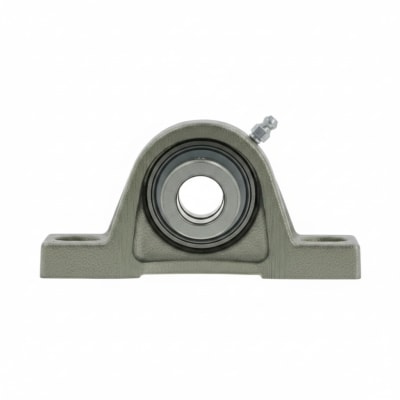 SCHAEFFLER GROUP PASE20-XL-N