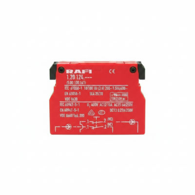 RAFI 1.20.124.019/0000