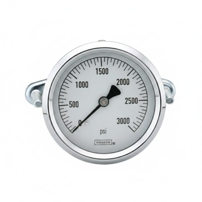 NOSHOK 25-310-10000-PSI-SGO