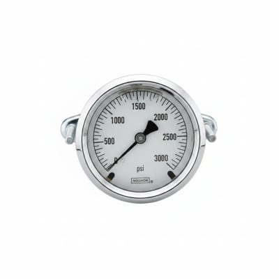 NOSHOK 25-310-1500-PSI-BFF-BT8