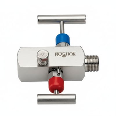 NOSHOK 30-02C-S-R-04C-2F-P