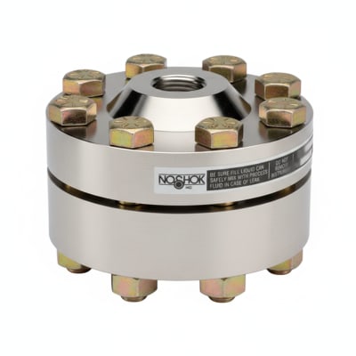 NOSHOK 30-02S-S-R-08C-2F-P