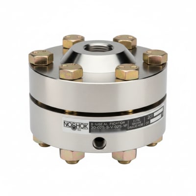NOSHOK 30-02S-S-V-02S-1F
