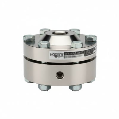 NOSHOK 30-02S-S-T-02S-1F