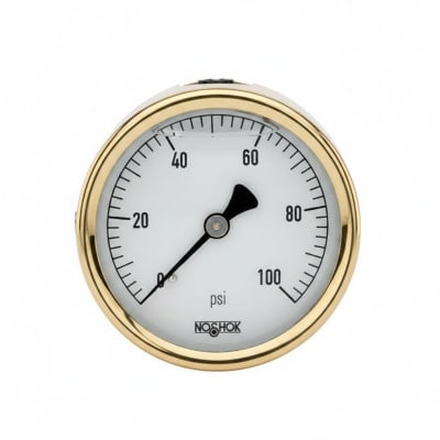 NOSHOK 25-310-10000-PSI-BT8