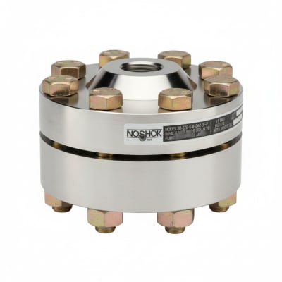 NOSHOK 30-02S-S-V-04C-2F-P