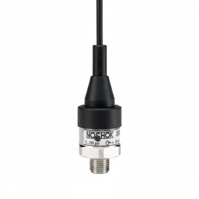 NOSHOK 30-02S-S-R-06S-2F