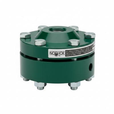 NOSHOK 30-02C-S-R-06S-2F
